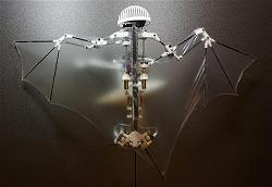 bat-drone