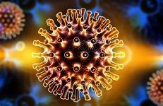 virus-hiv-2