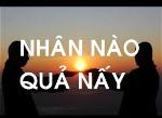 nhanqua-4