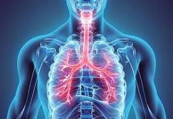 phoi-lung