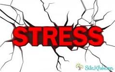stress-cangthang
