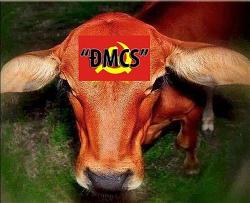 hcm-dmdss-daubo
